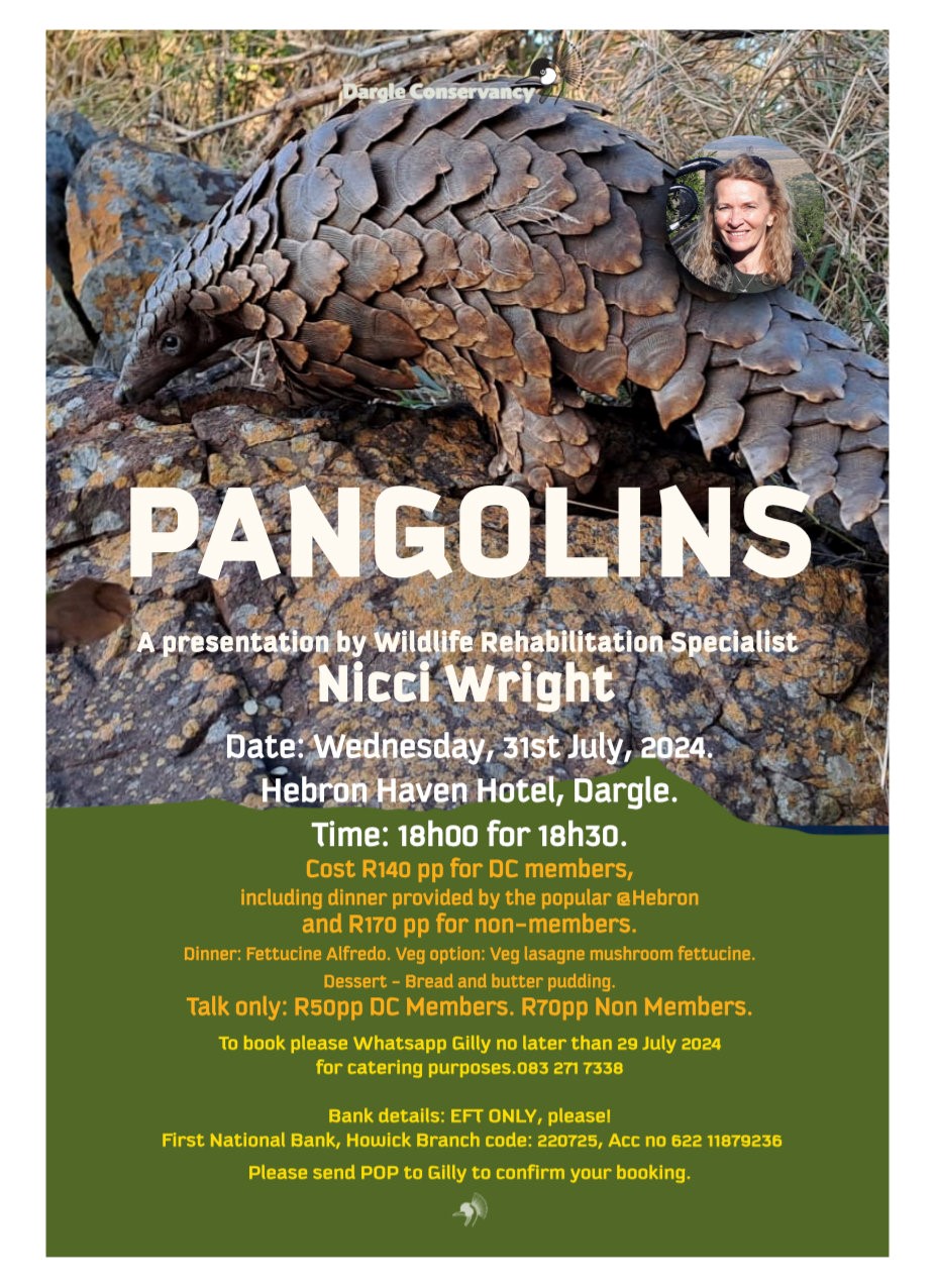 Poster for Pangolin event, 31 July 2024